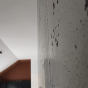 Magic Concrete
